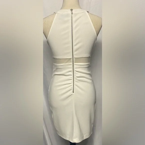 Windsor gorgeous bodycon dress - Picture 6 of 13